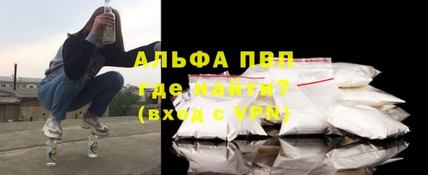 стаф Алексин