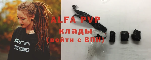 стаф Алексин