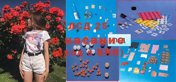 стаф Алексин