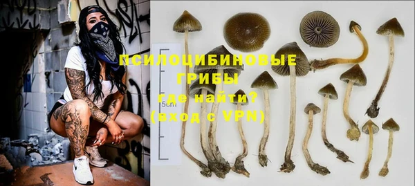 стаф Алексин