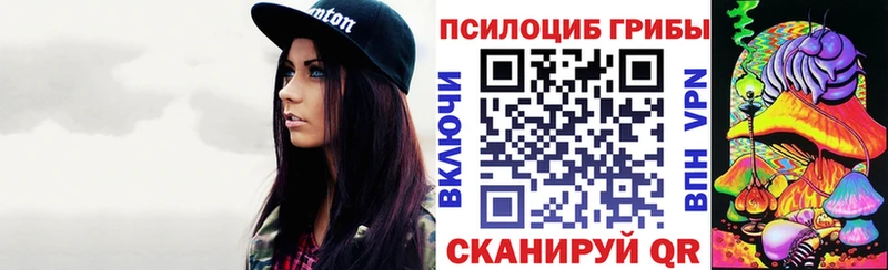 Псилоцибиновые грибы Psilocybine cubensis  Бирск 